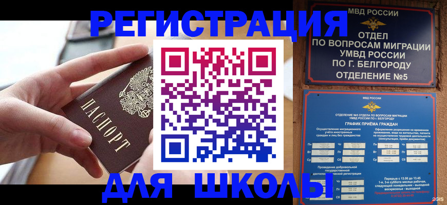 миграционный учет в Светлогорске